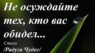 Не осуждайте тех, кто вас обидел /Радуга Чудес/