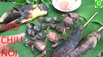 135  Bắt Cá Trên Ruộng - Mò Hang Cá Cạn -  Nướng Tại Chổ | Đất Phương Nam