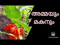 Malayalam Motivational Story----Ammayum Makanum.....