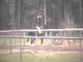 Black Horse  with 15 year old tall girl cantering around our gallops