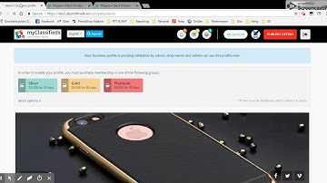Business Profile (Directory) Osclass Plugin