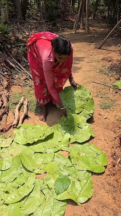 Indian Traditional Sal Patta Plate Making Complete Process #shorts
