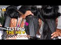 Testing The New Dyson Corrale Hair Straightiron on Natural Hair