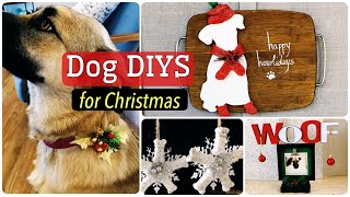 DOG LOVER CHRISTMAS DIYS | easy christmas dog crafts, decor, and gift ideas