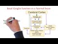 Parkinson's disease - Neuroscience simplified