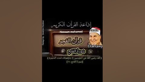 نفحات من قرآن الفجر للشيخ محمد الطنطاوي وما تيسر من سورة الفتح