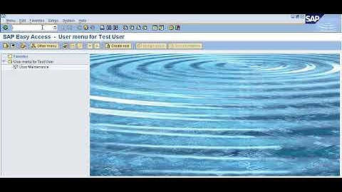SM51 Remote Logon to a terminal in sap