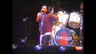 The Cult - Live @ Pinkpop (1992) The Cult - Live @ Pinkpop (1992)