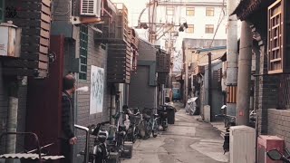 Breathing China：Wangpi Hutong（Alley）in Beijing（王皮胡同）