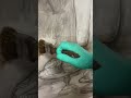Imprimatura #starting a painting #oilpainting