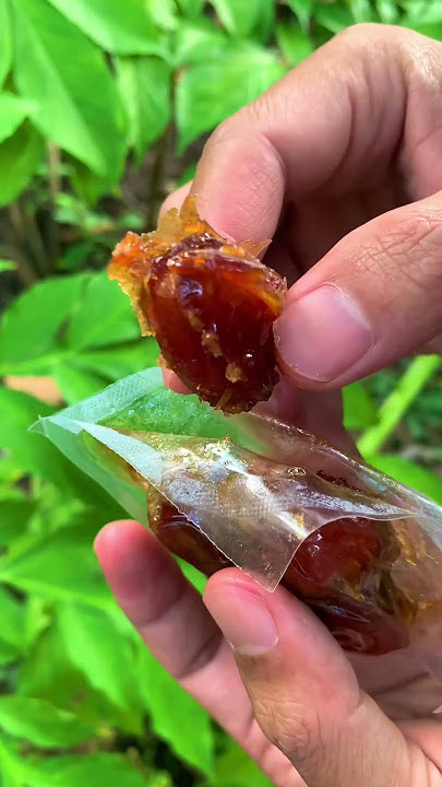 Review kurma arab dengan kurma indonesia #kurmaarab #kurmaindonesia
