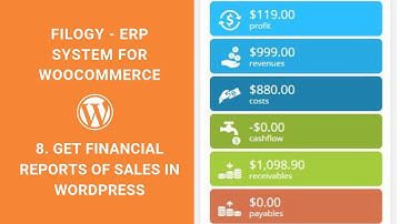 8. Filogy ERP financial reports of sales for WooCommerce