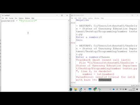 GCSE Level Programming Essentials - Basics - Password Checker