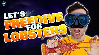 Lobster Diving In California At Night Spiny Lobster Catch & Cook