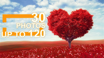 Professional Dynamic Slideshow