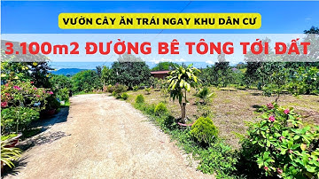 🔴(163) Bán Vườn Cây Ăn Trái Ngay Giữa Khu Dân Cư | Bất Động Sản Bảo Lộc