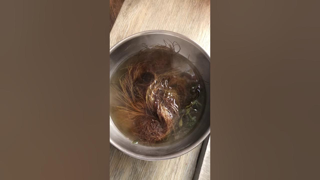 Corn silk/hair and benefits YouTube