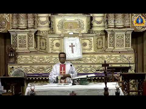 5th Week of LENT,  Wednesday  25 March 2026.