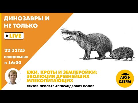 Конец всего | Космические убийцы | Discovery