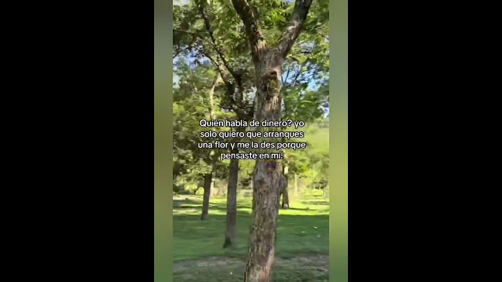 #detalles #enamorados #vitalshorts #viralvideo #celebrando #frases #amormanchado #humor #videoviral