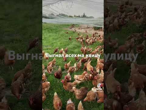 19 июня 2023 г.