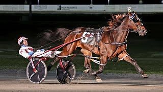 2024 $50,000 MGM Borgata Pace 1609M Division 1 Leg # 1 Yonkers Raceway : Desperate Man (1:51:4)