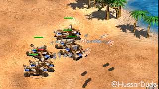 AoE2: When Onagers miss their mark