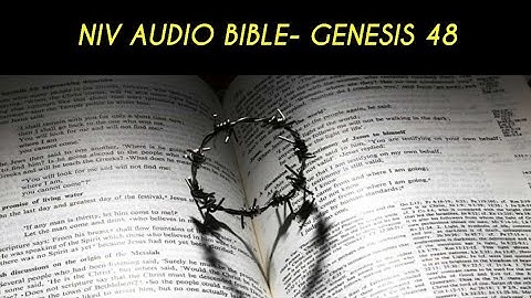GENESIS 48 NIV AUDIO BIBLE (with text)