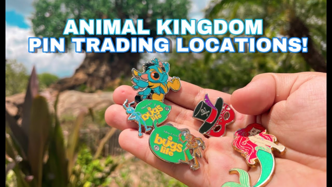 Pin Trading at EVERY Board in Animal Kingdom Disney World - LIVE