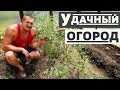 Удачный огород, обзор дачного участка 2020 и наша теплица