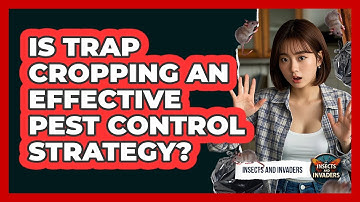 Is Trap Cropping An Effective Pest Control Strategy? - Insects and Invaders