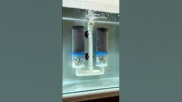 DIY Aquarium Double Sponge Filter That Works Wonders!