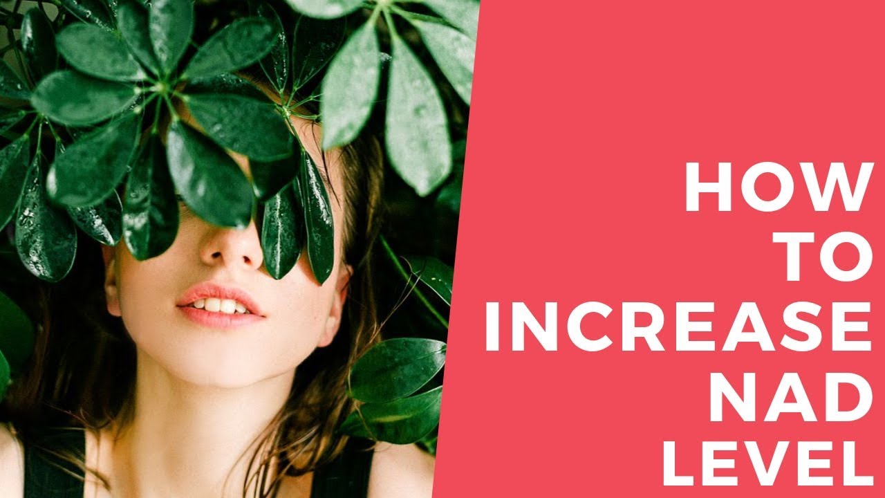 how to increase nad levels | iHealth CO. 