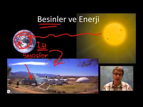 Bozeman Science: Biyojeokimyasal Döngü (Fen Bilimleri) (Biyoloji)