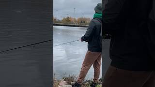 Ловля жереха #shorts #рыбалка