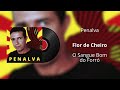 Penalva Flor De Cheiro Áudio Oficial Penalva Flor De Cheiro Áudio Oficial