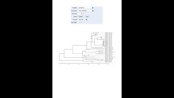 How to construct a phylogenetic tree using BEAST software?