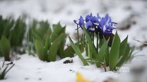 A snowy first day of spring in Berks County