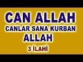 CAN ALLAH CANLAR SANA KURBAN ALLAH EY AŞIK I DİLDADE Abdurrahman Önül İlahiler