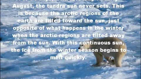 As Cold as Ice Tundra!