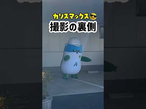 こっそり撮られてたなんて..😎💦#ゆるキャラ #カリスマックス#踊ってみた  #snowman