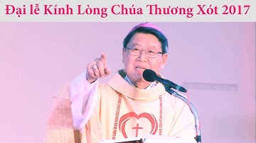 Đại lễ Kính Lòng Chúa Thương Xót 2017 - Bài giảng của Đức Cha Phêrô Nguyễn Văn Khảm