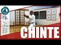 How to chinte  slow  fast  shtkan karate kata by fiore tartaglia