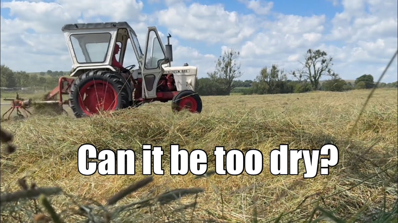 DRYING OUT FAST! - YouTube