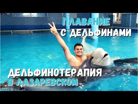 Дельфинотерапия Лазаревское. Плавание с дельфинами.