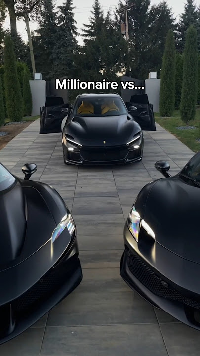 Millionaire vs Billionaire vs Trillionaire...💸