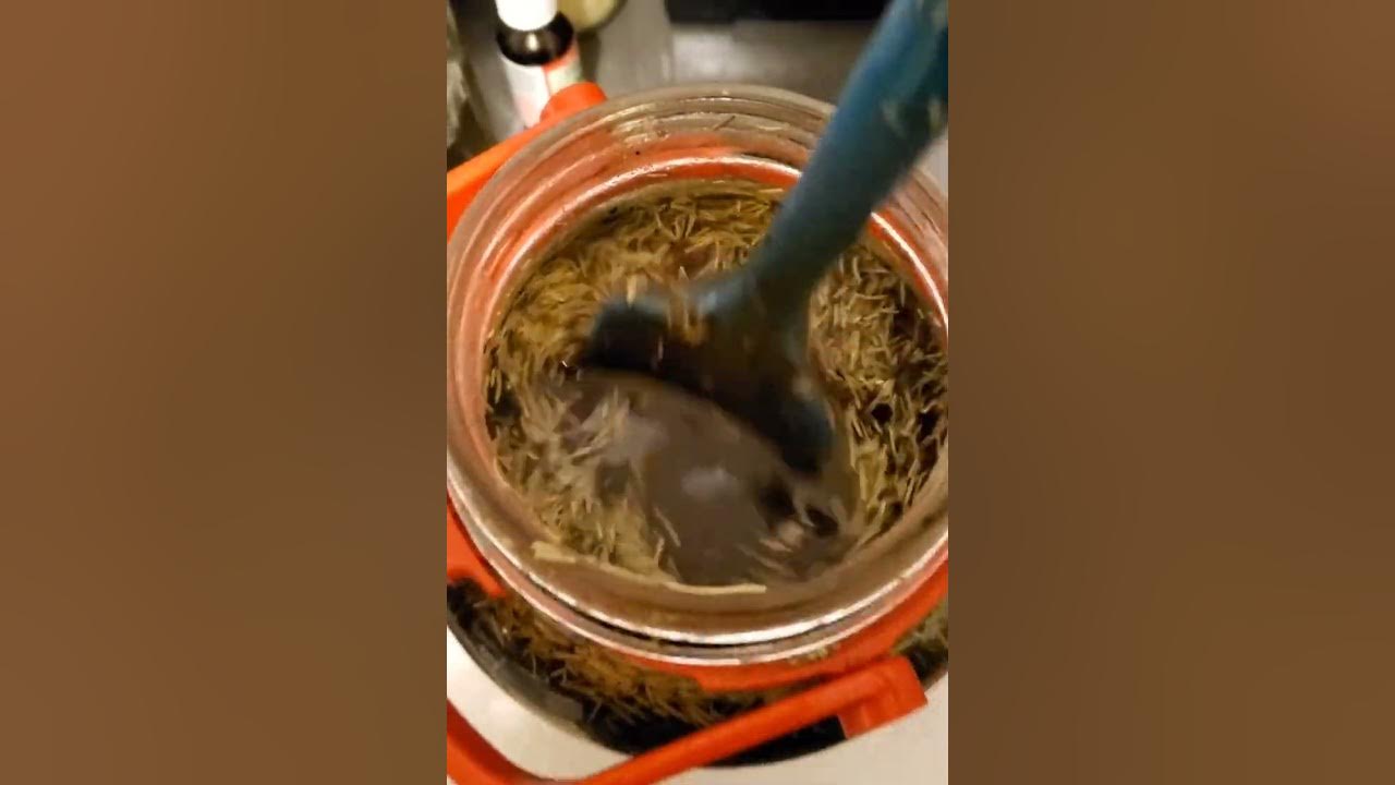 Potent hair oil concoction here! YouTube