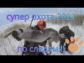 охота на зайца 2021 по следам!#охотаназайца2021