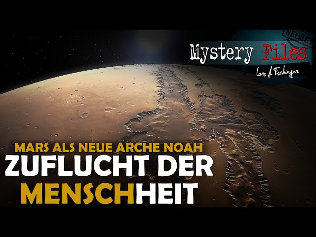 Elon Musk hat große Pläne: Rettung der Menschheit und eine Stadt auf dem Mars als "neue Arche Noah"!