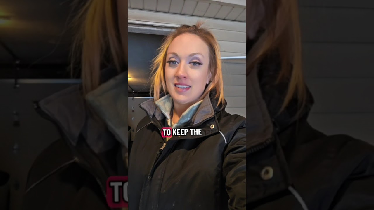 Planting and Hibernating My 12 Free Arbor Day Foundation Trees in the Chicago Snowstorm